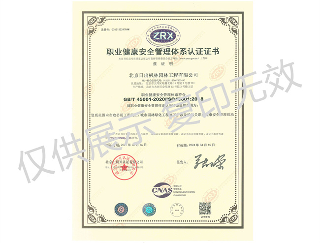 職業(yè)健康安全管理體系